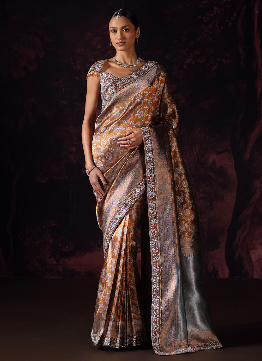 Brown Embroidered Tissue Saree