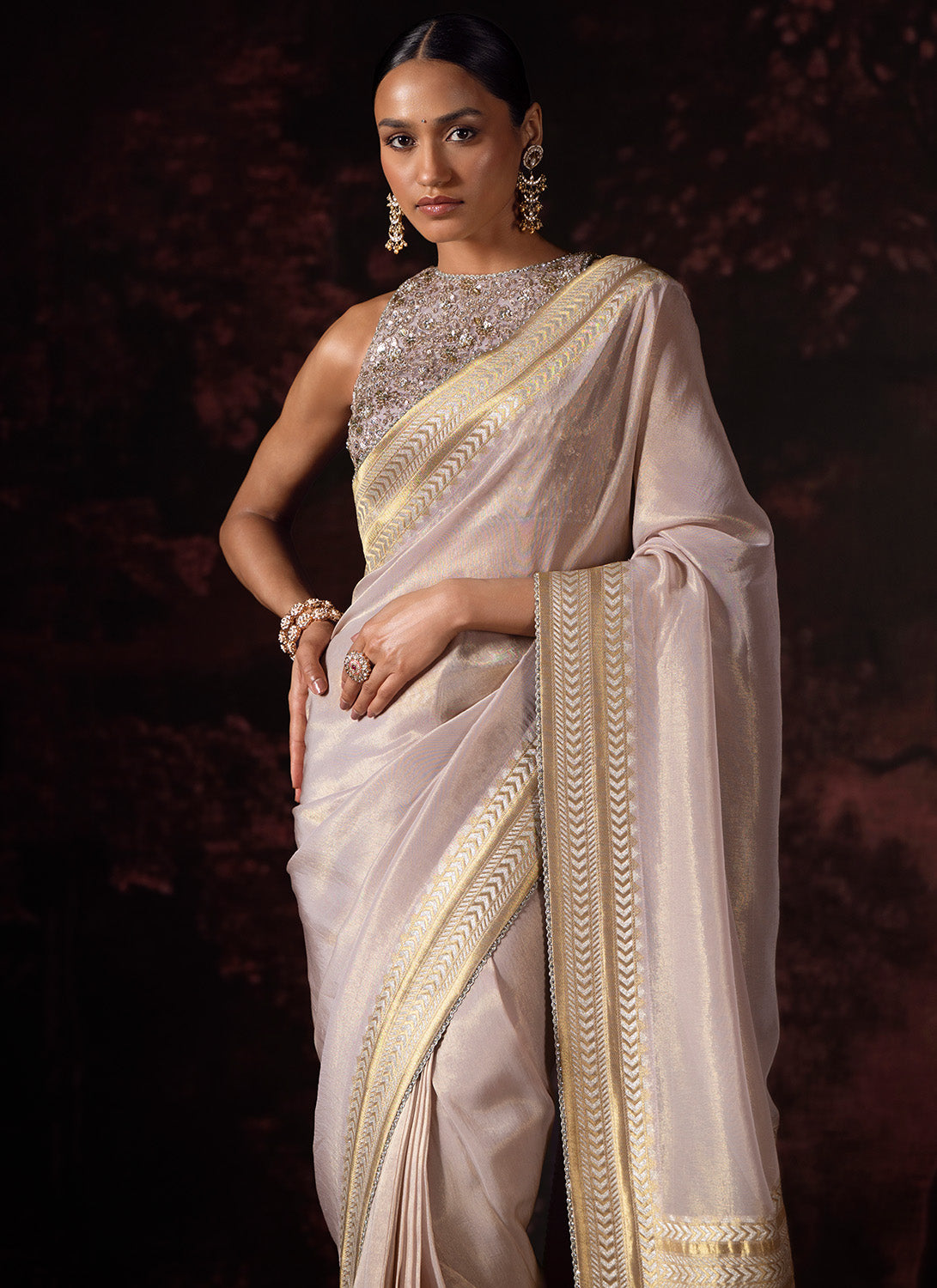 Nude Embroidered Tissue Saree