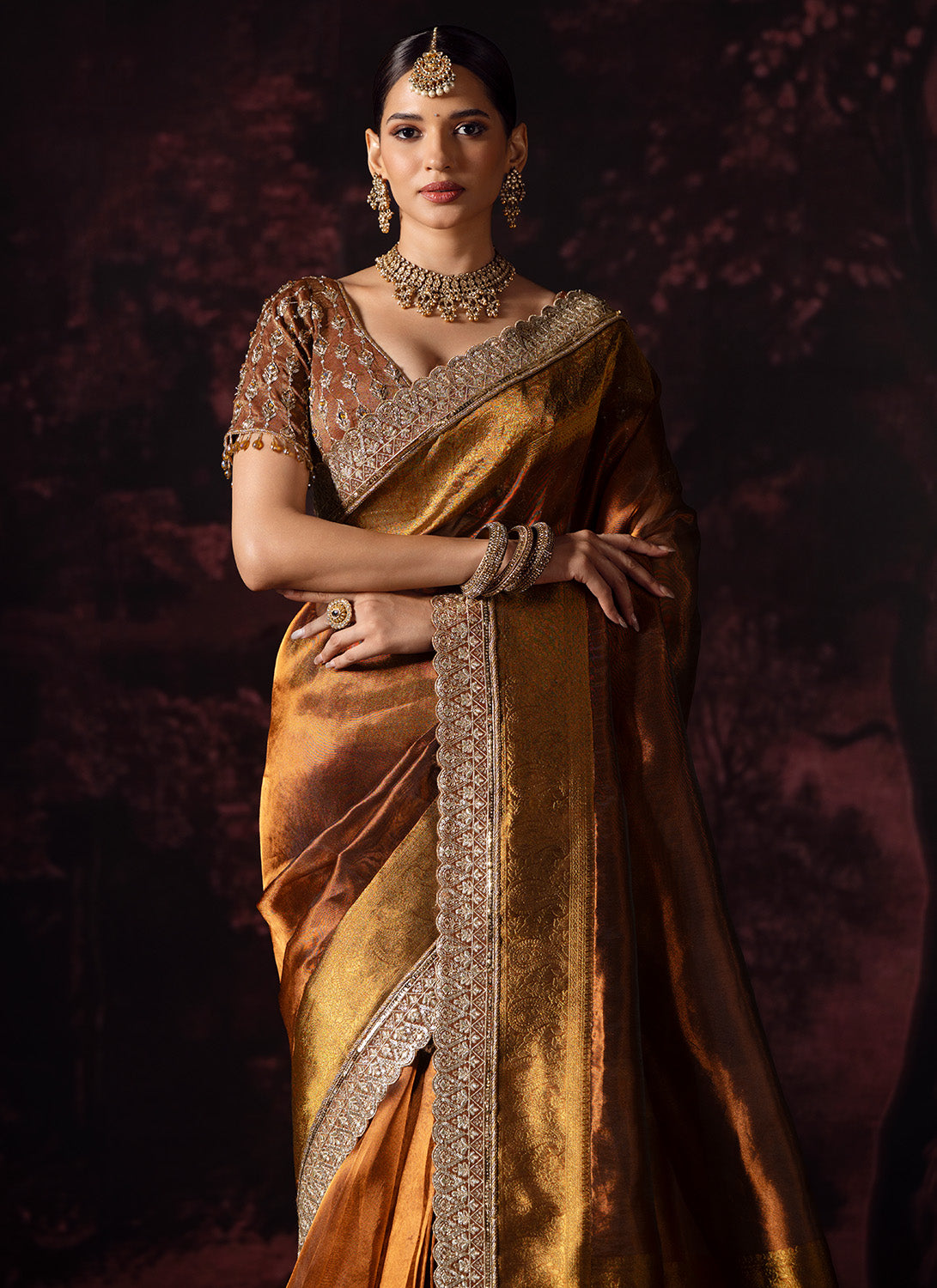 Golden Bronze Embroidered Tissue Saree
