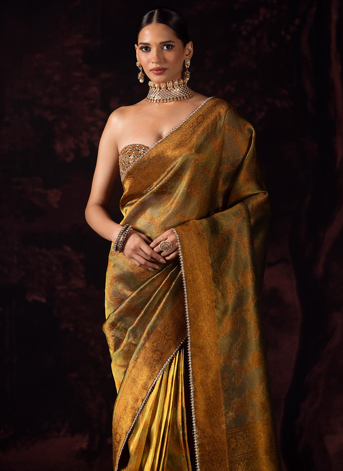 Dark Copper and Gold Embroidered Tissue Saree