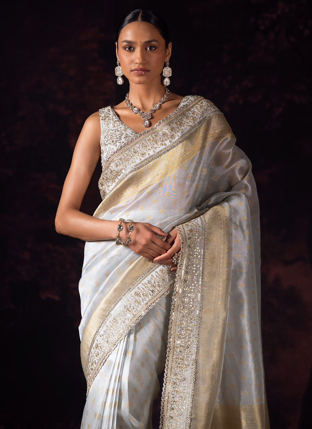 Silver and Gold Embroidered Tissue Saree