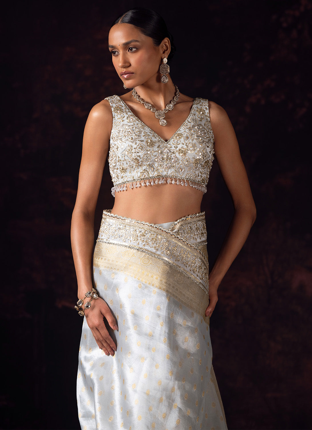 Silver and Gold Embroidered Tissue Saree