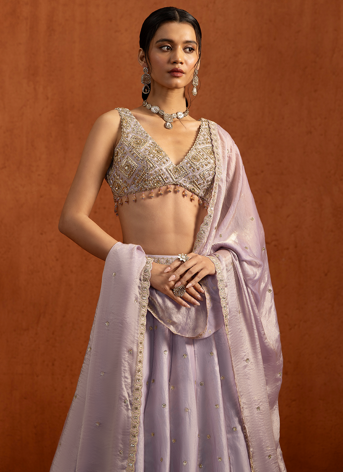 Soft Lilac Embroidered Tissue Lehenga