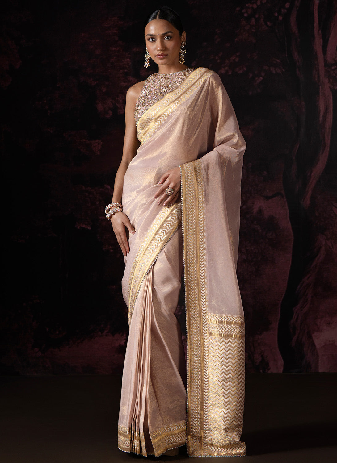 Nude Embroidered Tissue Saree