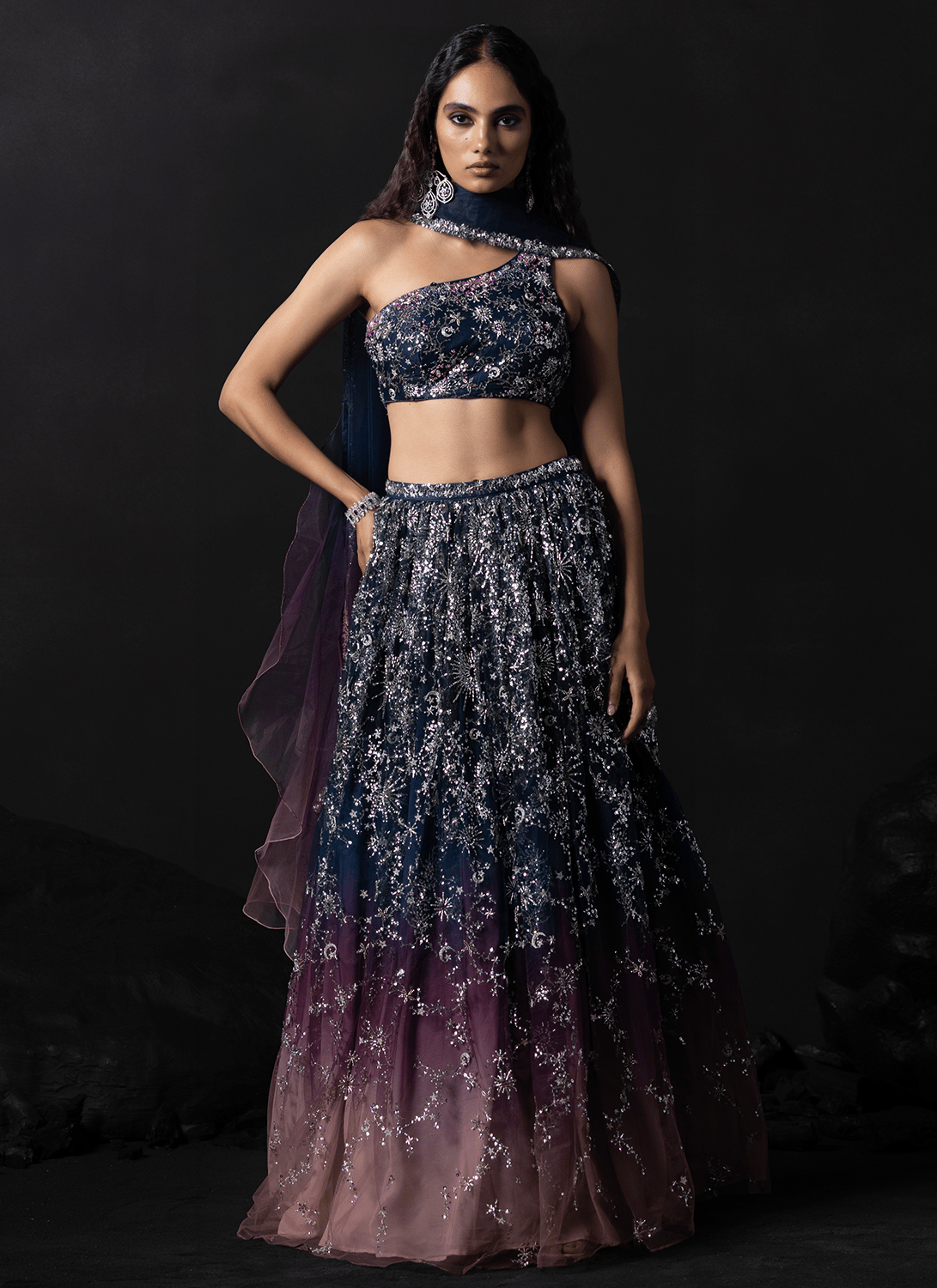 Navy Blue and Dusty Rose Embroidered Net Lehenga - Lashkaraa