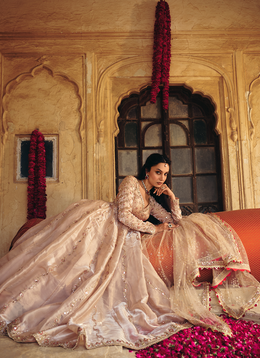 Gold Embroidered Organza Anarkali