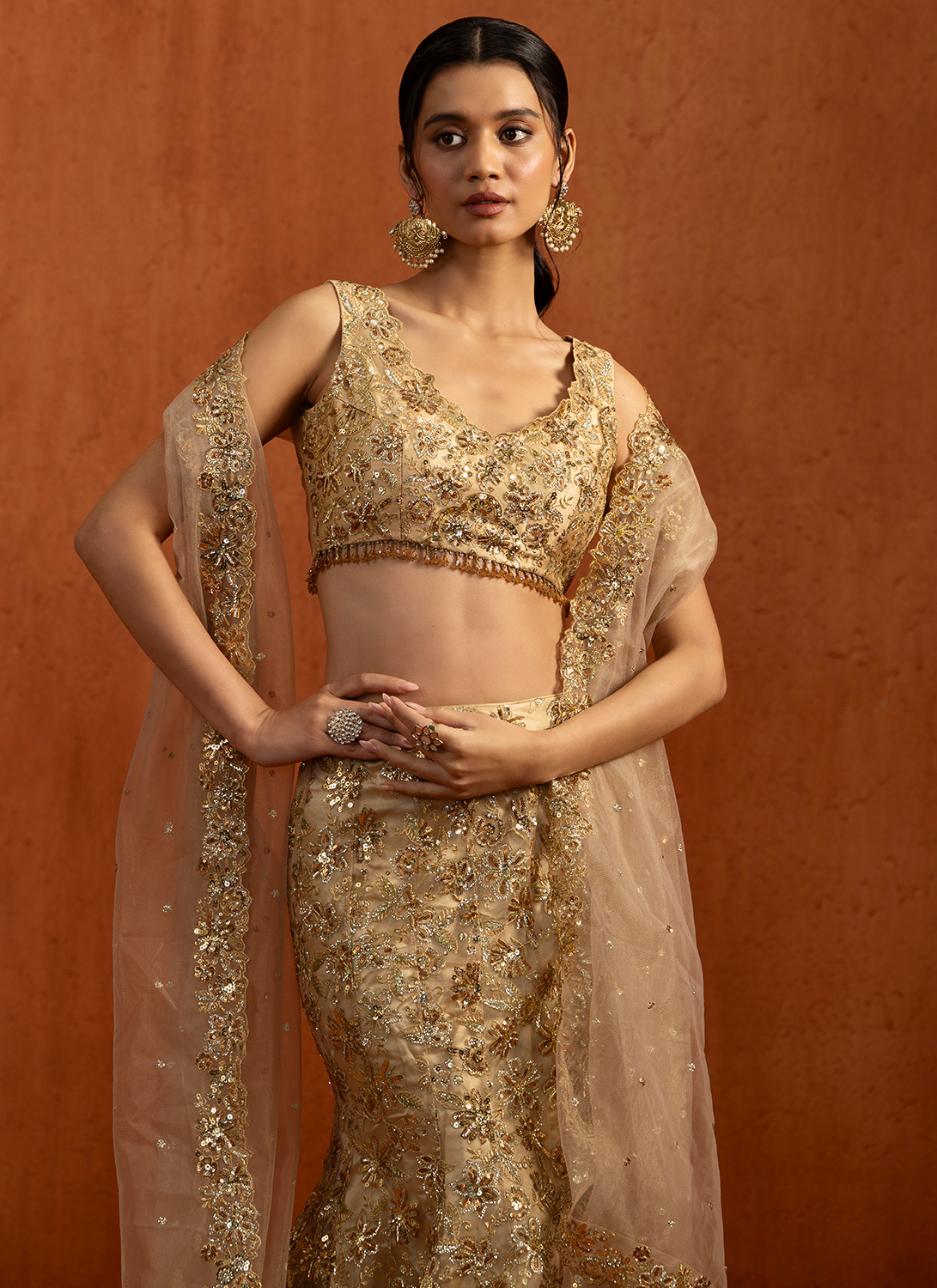 Gold Fishcut Embroidered Net Lehenga
