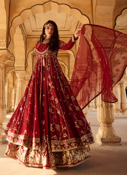 Maroon Embroidered Georgette Anarkali