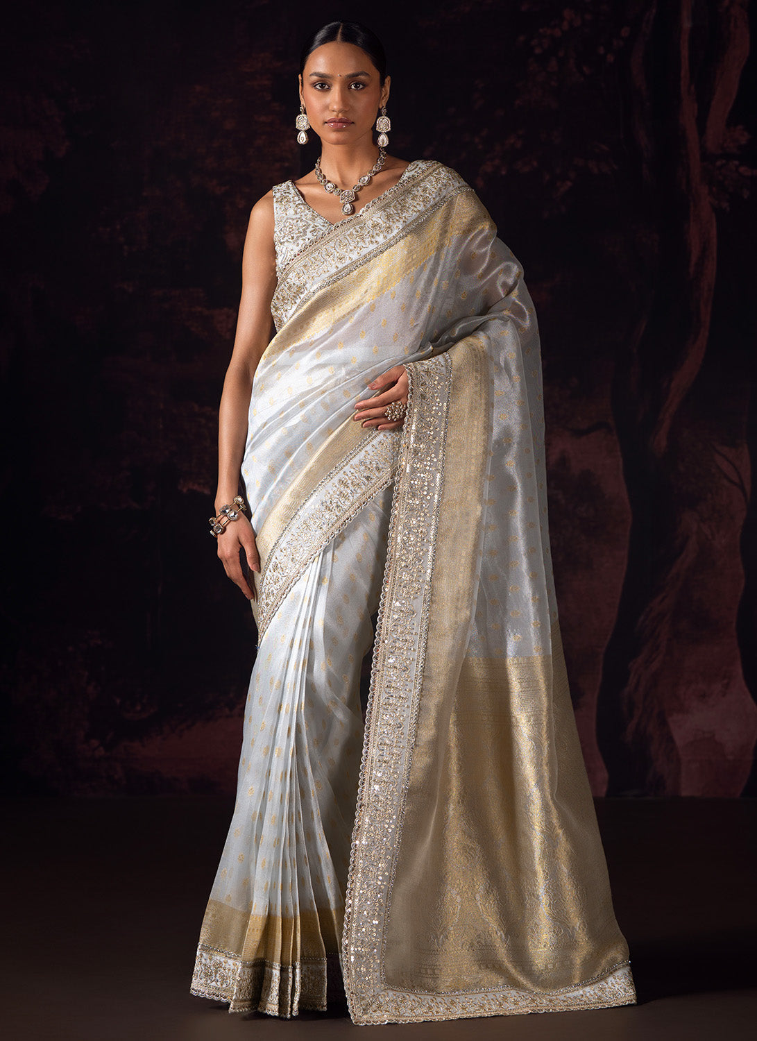 Silver and Gold Embroidered Tissue Saree
