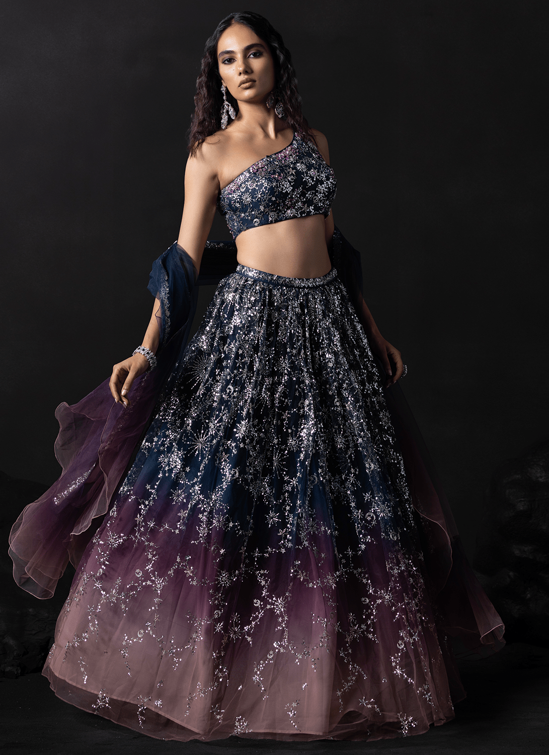 Navy Blue and Dusty Rose Embroidered Net Lehenga - Lashkaraa