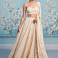 Golden Cream Thread Embroidered Lehenga