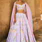 Periwinkle Embellished Velvet Lehenga