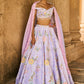 Periwinkle Embellished Velvet Lehenga