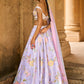 Periwinkle Embellished Velvet Lehenga