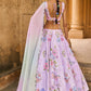 Soft Purple Embellished Velvet Lehenga