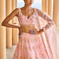 Peach Heavy Embellished Net Lehenga